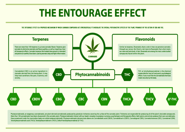 TERPENES_700x500